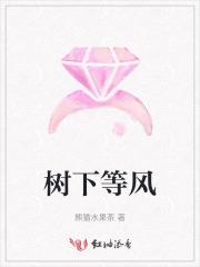树下等风