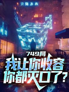 主角是陆鼎罗安平的小说