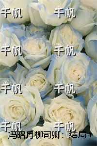 冯昭月柳司卿：结局+番外