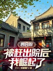 四合院：被赶出院后，我崛起了