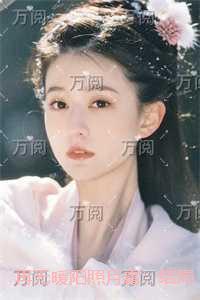 再无暖阳照月霜：免费