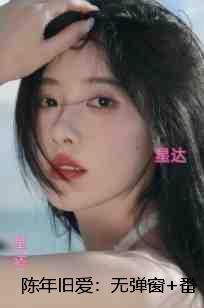 陈年旧爱：无弹窗+番外