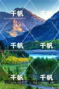晚风知我不爱你：,沈倾羽沈归之完整作品