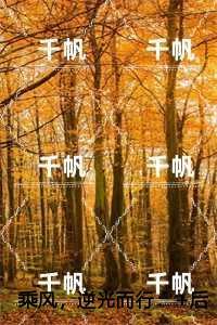 乘风，逆光而行评价五颗星