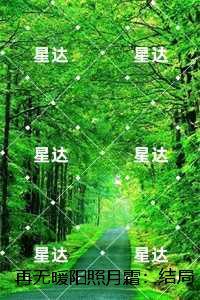 再无暖阳照月霜：结局+番外+续集高质量好文