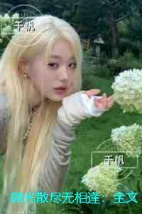微光散尽无相逢：在线品鉴