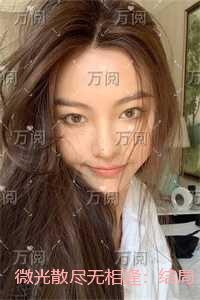 微光散尽无相逢：小说在线阅读