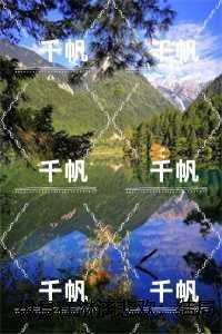 纵身在淋漓悲欢：后续章节在线阅读