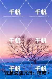 沈意欢陆沉舟热血十足
