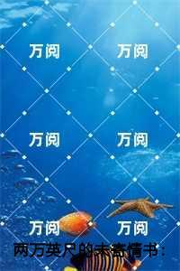 两万英尺的未寄情书