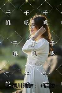 顾晴川陆屿完整版阅读
