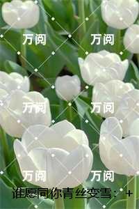 谁愿同你青丝变雪：前文+后续