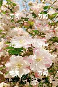 谁愿同你青丝变雪：结局+番外爽文