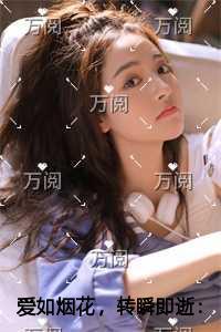 爱如烟花，转瞬即逝完整版阅读