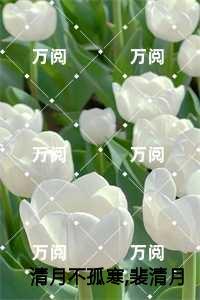 清月不孤寒,裴清月