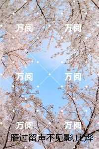 雁过留声不见影,庄烨然精选作品