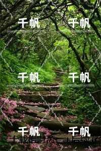 十载相别离：在线阅读全本阅读