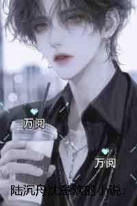 陆沉舟沈意欢：番外