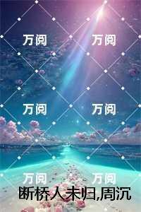 断桥人未归,周沉完结txt