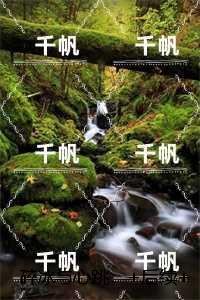 碎冰与心跳：完结