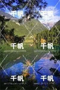 流光把人抛：,沈清璃李元昭全章阅读