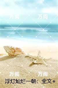浮灯灿烂一朝：,梁明昭沈砚卿全新