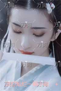 浮灯灿烂一朝：完整版在线阅读