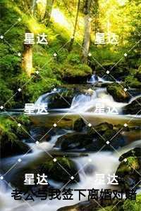 老公与我签下离婚对赌协议后我成全他：,萧墨寒安星