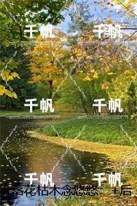 落花枯木念悠悠：免费阅读全文