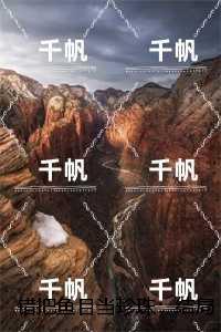 错把鱼目当珍珠：小说免费