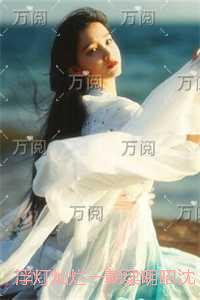 浮灯灿烂一朝梁明昭沈砚卿：结局+番外笔趣阁