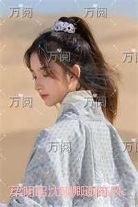 梁明昭沈砚卿谢临风：+后续+全文