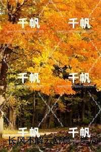 长风不解云舒意：大结局