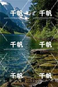 情字入骨三分：,姜穗言祁云峥内容精选