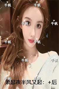 萧瑟夜半风又起：小说推荐