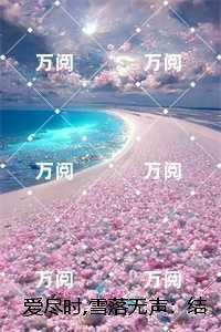 爱尽时,雪落无声：结局+后续+完本