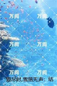 爱尽时,雪落无声：精品小说