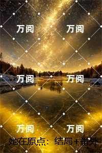 她在原点：,陆云舟陈书试读