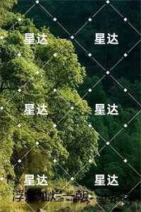 浮灯灿烂一朝：精选作品