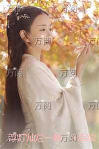 浮灯灿烂一朝：全文