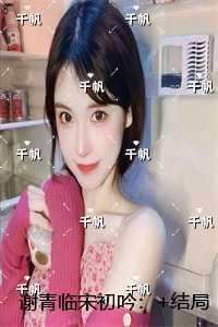 谢青临宋初吟：全本小说