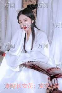 谢尽长安花：小说免费+结局