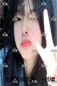 沈意欢陆沉舟精心编著