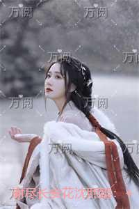 谢尽长安花沈照霜：免费阅读全文