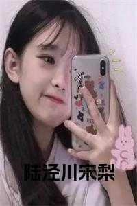 陆泾川宋梨