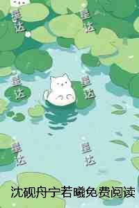 沈砚舟宁若曦
