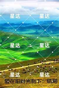 爱在旧时光刻下：,贺瑾舟沈翩然