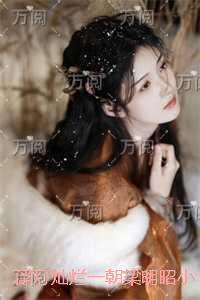 浮灯灿烂一朝梁明昭：畅读