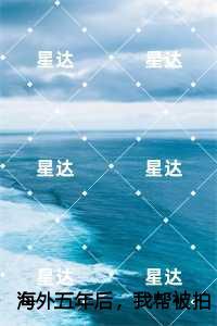 海外五年后，我帮被拍卖小视频的弟弟点天灯,陆向晴