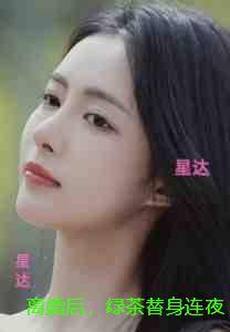 离婚后，绿茶替身连夜删号跑路：结局+番外宝藏